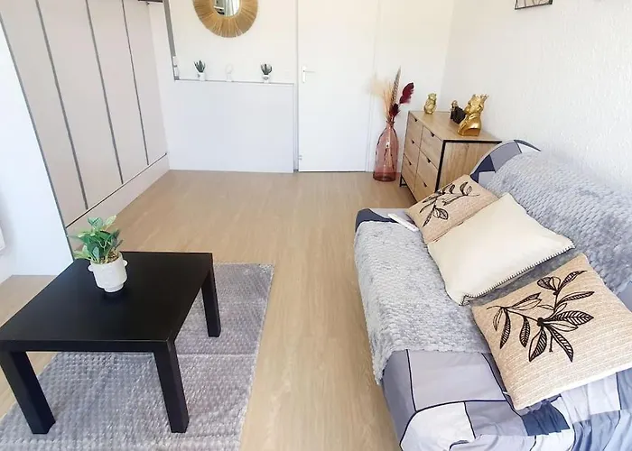 Studio Reve De Mer 25 M2, Centre Ville, Parking, Cosy Neuf